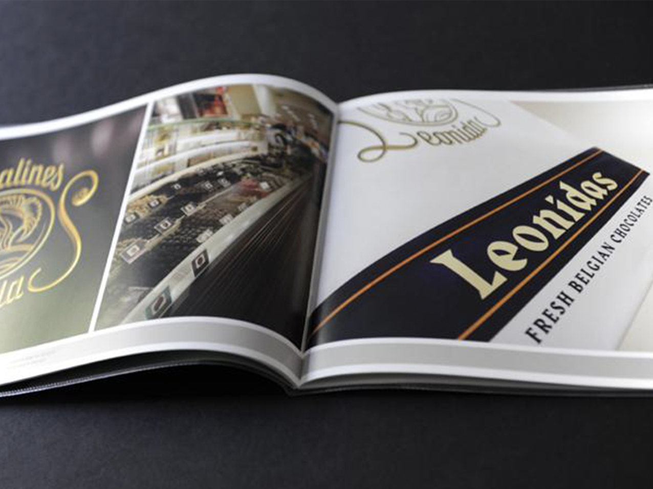 Boek_Leonitas.png Boek_Leonitas.png